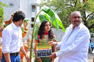 Nenu Nanna Abaddham Muhurat