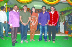 NTR Boyapati Sreenu Film Muhurat