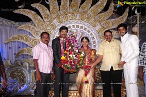 Aryan Rajesh-Subhashini Wedding Reception