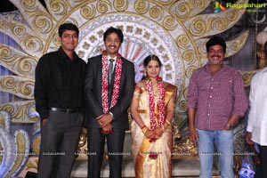 Aryan Rajesh-Subhashini Wedding Reception