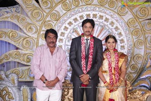 Aryan Rajesh-Subhashini Wedding Reception