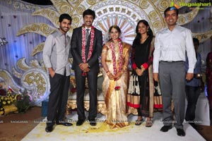 Aryan Rajesh-Subhashini Wedding Reception