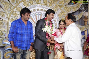 Aryan Rajesh-Subhashini Wedding Reception