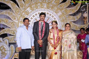 Aryan Rajesh-Subhashini Wedding Reception