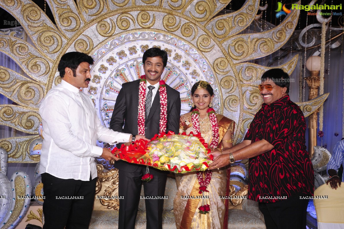 Aryan Rajesh Wedding Reception