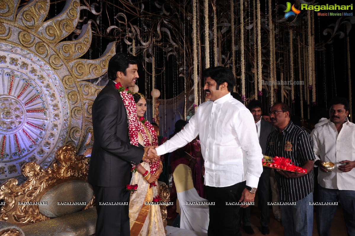 Aryan Rajesh Wedding Reception