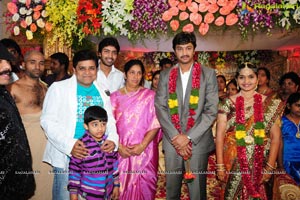 Aryan Rajesh-Subhashini Wedding Function