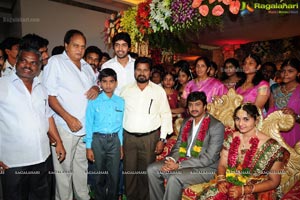 Aryan Rajesh-Subhashini Wedding Function