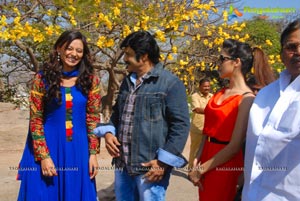 Balakrishna-Parvathi Melton-Eesha Chawla Film Muhurat