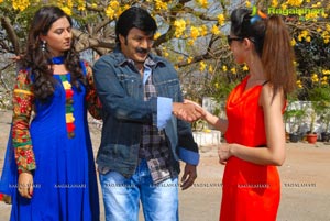 Balakrishna-Parvathi Melton-Eesha Chawla Film Muhurat