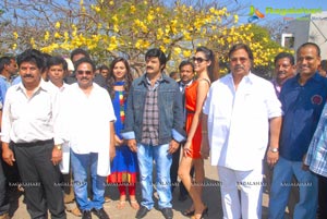 Balakrishna-Parvathi Melton-Eesha Chawla Film Muhurat