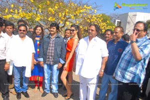 Balakrishna-Parvathi Melton-Eesha Chawla Film Muhurat