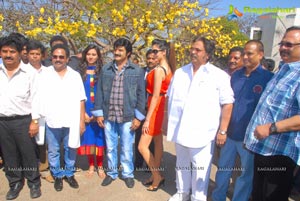 Balakrishna-Parvathi Melton-Eesha Chawla Film Muhurat