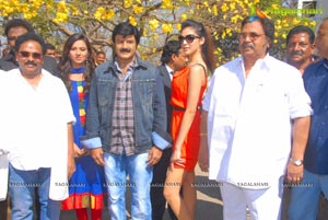 Balakrishna-Parvathi Melton-Eesha Chawla Film Muhurat