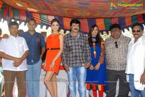 Balakrishna-Parvathi Melton-Eesha Chawla Film Muhurat