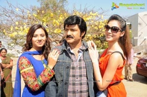 Balakrishna-Parvathi Melton-Eesha Chawla Film Muhurat