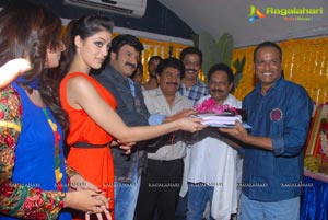 Balakrishna-Parvathi Melton-Eesha Chawla Film Muhurat