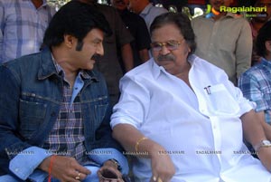 Balakrishna-Parvathi Melton-Eesha Chawla Film Muhurat