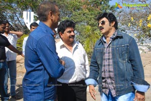 Balakrishna-Parvathi Melton-Eesha Chawla Film Muhurat