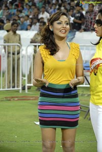 Chennai Rhinos-Karnataka Bulldozers Celebrity Cricket League Final Match