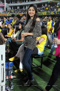 Chennai Rhinos-Karnataka Bulldozers Final Match