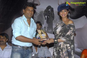 Eka Veera Platinum Disc Function