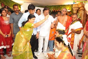 Kaikala Satynarayana Brother's Daughter Wedding Function