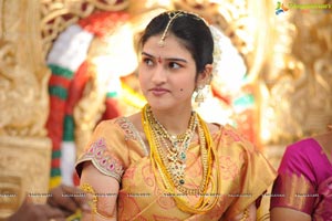 Kaikala Satynarayana Brother's Daughter Wedding Function