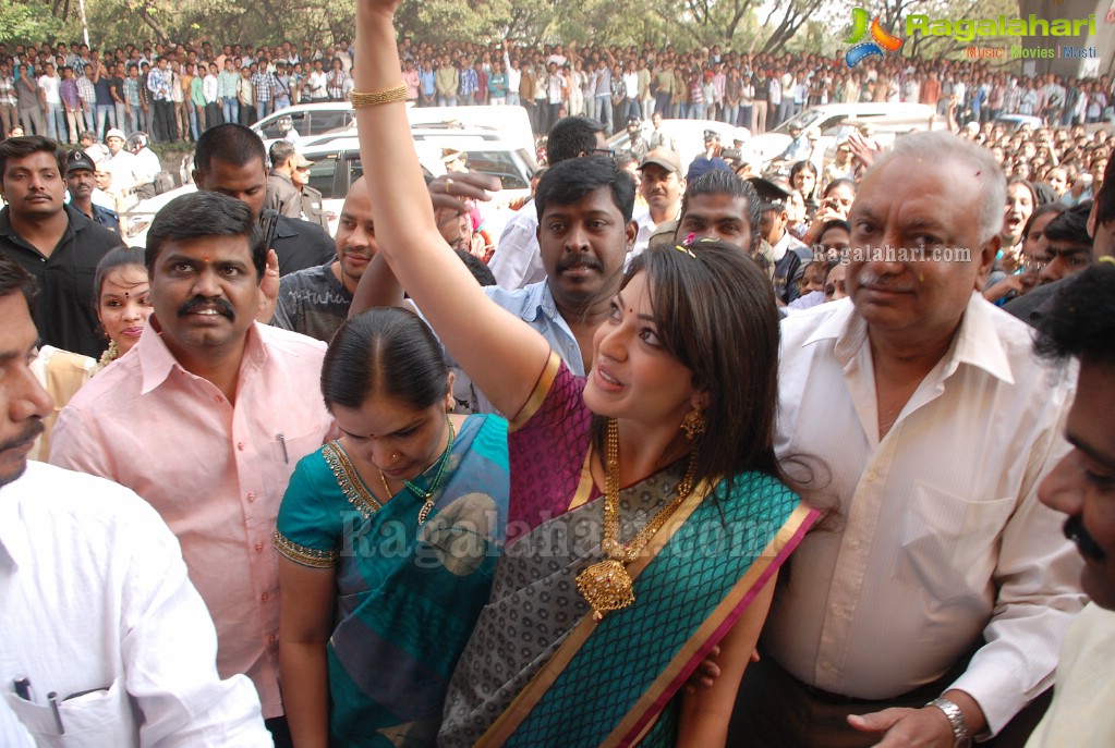 Kajal Aggarwal launches The Chennai Shopping Mall