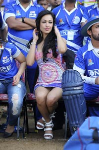 Kerala Strikers-Karnataka Bulldozers Celebrity Cricket League Match at Visakhapatnam