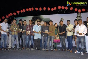 Mem Vayasuku Vacham Audio Release