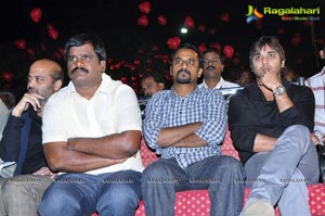 Nuvva Nena Audio Release