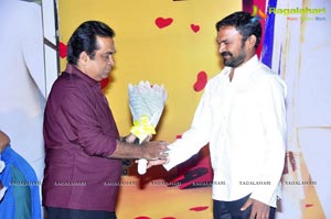 Nuvva Nena Audio Release