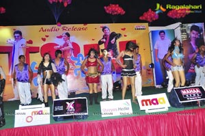 Nuvva Nena Audio Release