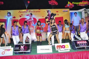 Nuvva Nena Audio Release