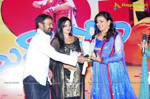 Nuvva Nena Audio Release