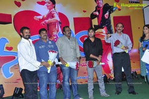 Nuvva Nena Audio Release