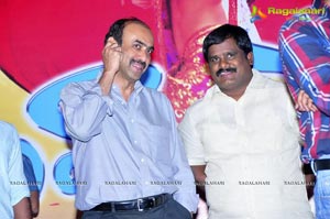 Nuvva Nena Audio Release