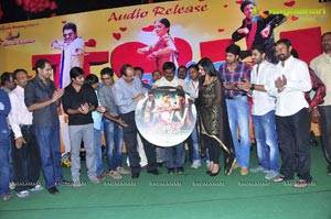 Nuvva Nena Audio Release