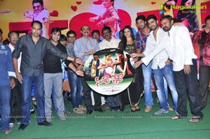 Nuvva Nena Audio Release