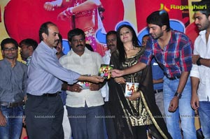 Nuvva Nena Audio Release