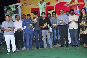 Nuvva Nena Audio Release