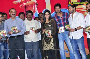 Nuvva Nena Audio Release