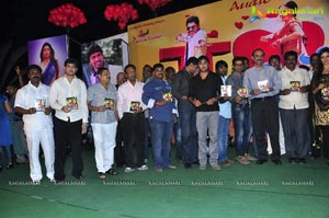 Nuvva Nena Audio Release