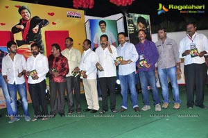 Nuvva Nena Audio Release