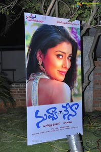 Nuvva Nena Audio Release