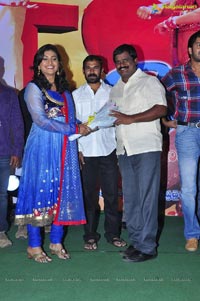 Nuvva Nena Audio Release