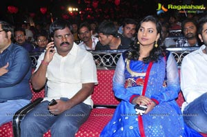 Nuvva Nena Audio Release