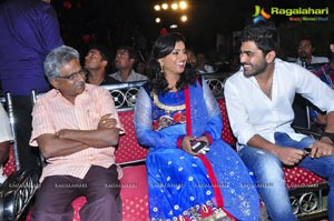 Nuvva Nena Audio Release