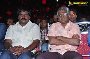 Nuvva Nena Audio Release